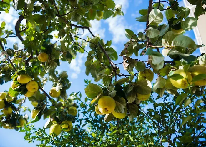 Odysseas Art Вилла *